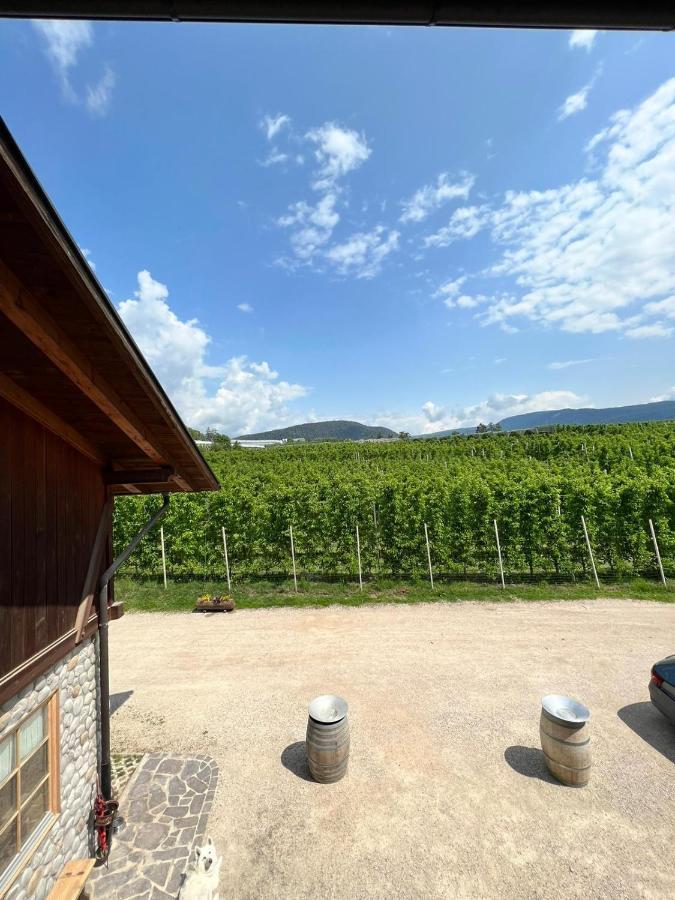 הוילה Brez Agritur Maso Forcola מראה חיצוני תמונה