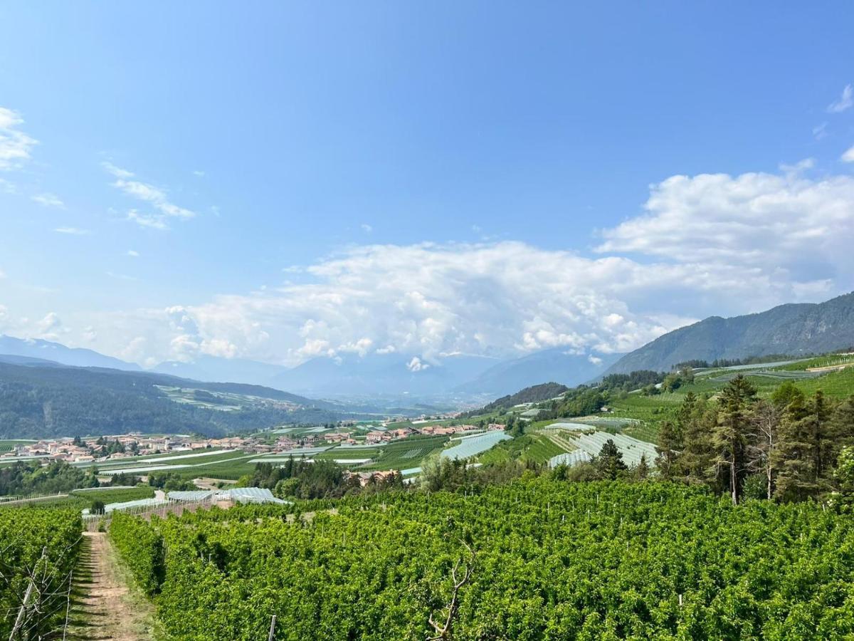 הוילה Brez Agritur Maso Forcola מראה חיצוני תמונה